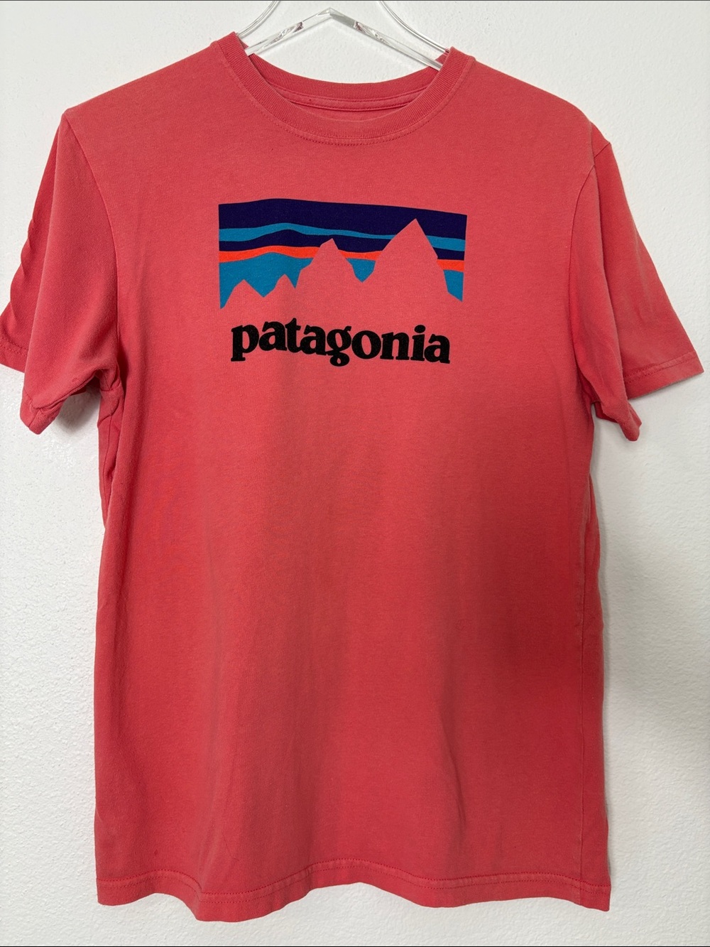 Patagonia Coral Short-Sleeve Logo Tee with Multicolor Mountain Graphic